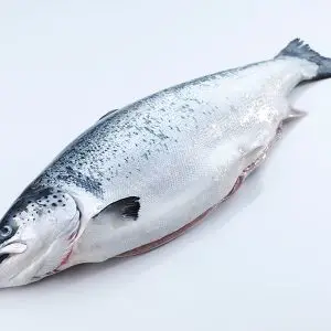 Zalm (heel)
